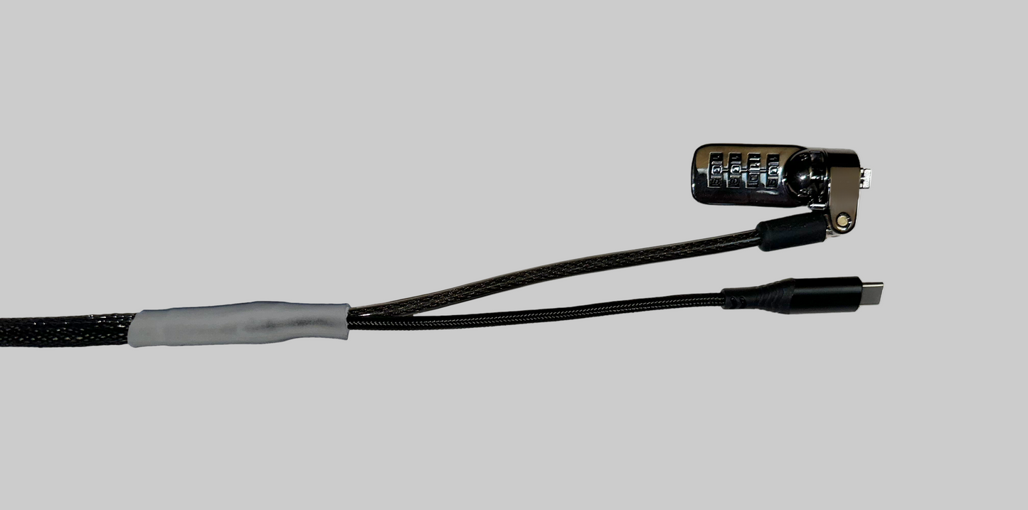 Standard USB-C Security Cable