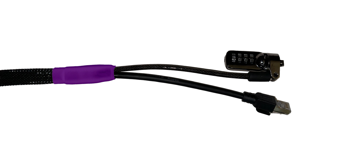 Standard Cat 8 Security Cable