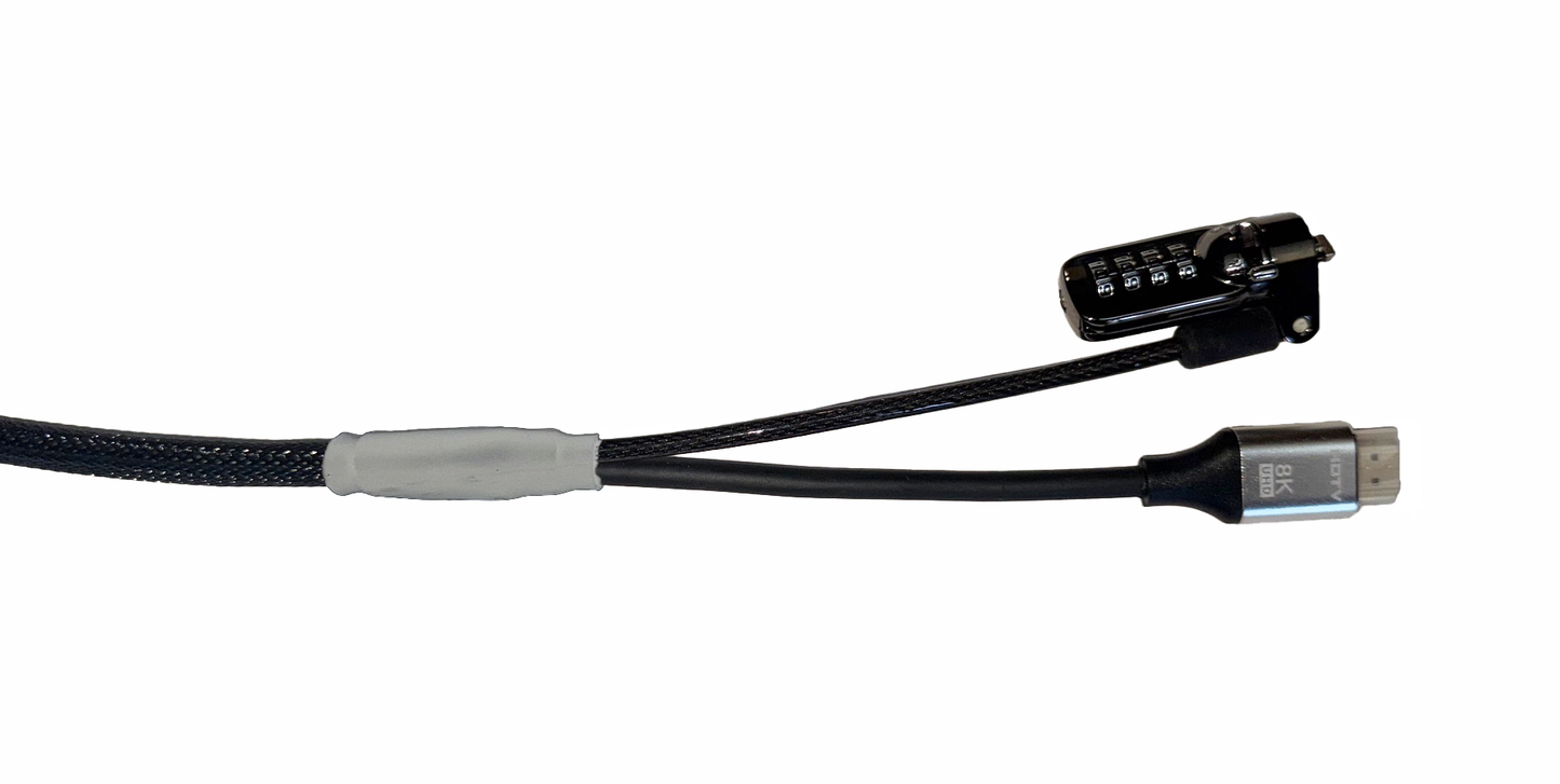 Standard HDMI Security Cable