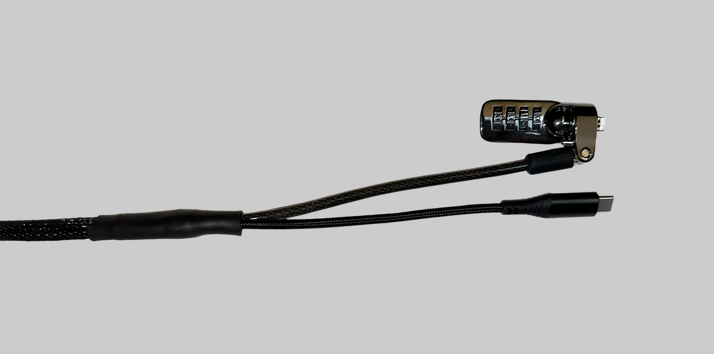 Standard USB-C Security Cable