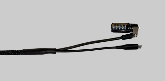 Standard USB-C Security Cable