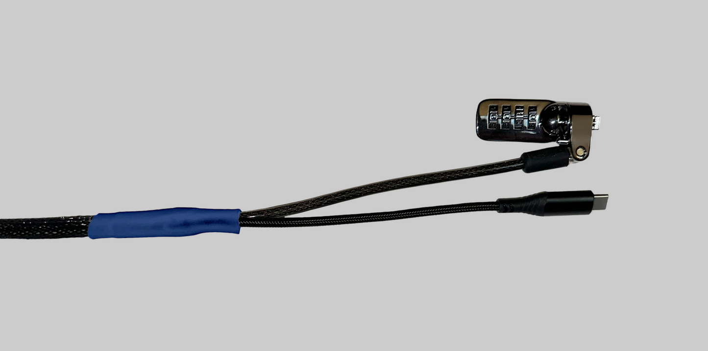 Standard USB-C Security Cable