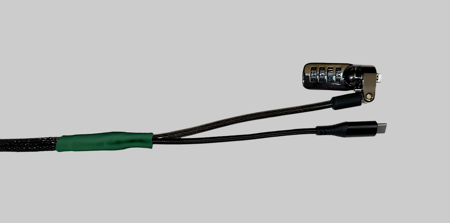 Standard USB-C Security Cable