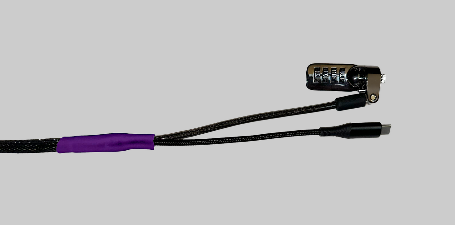 Standard USB-C Security Cable