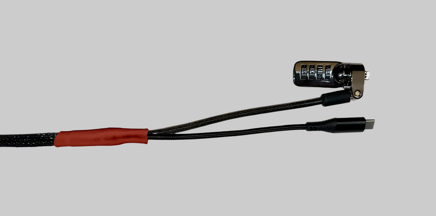 Standard USB-C Security Cable
