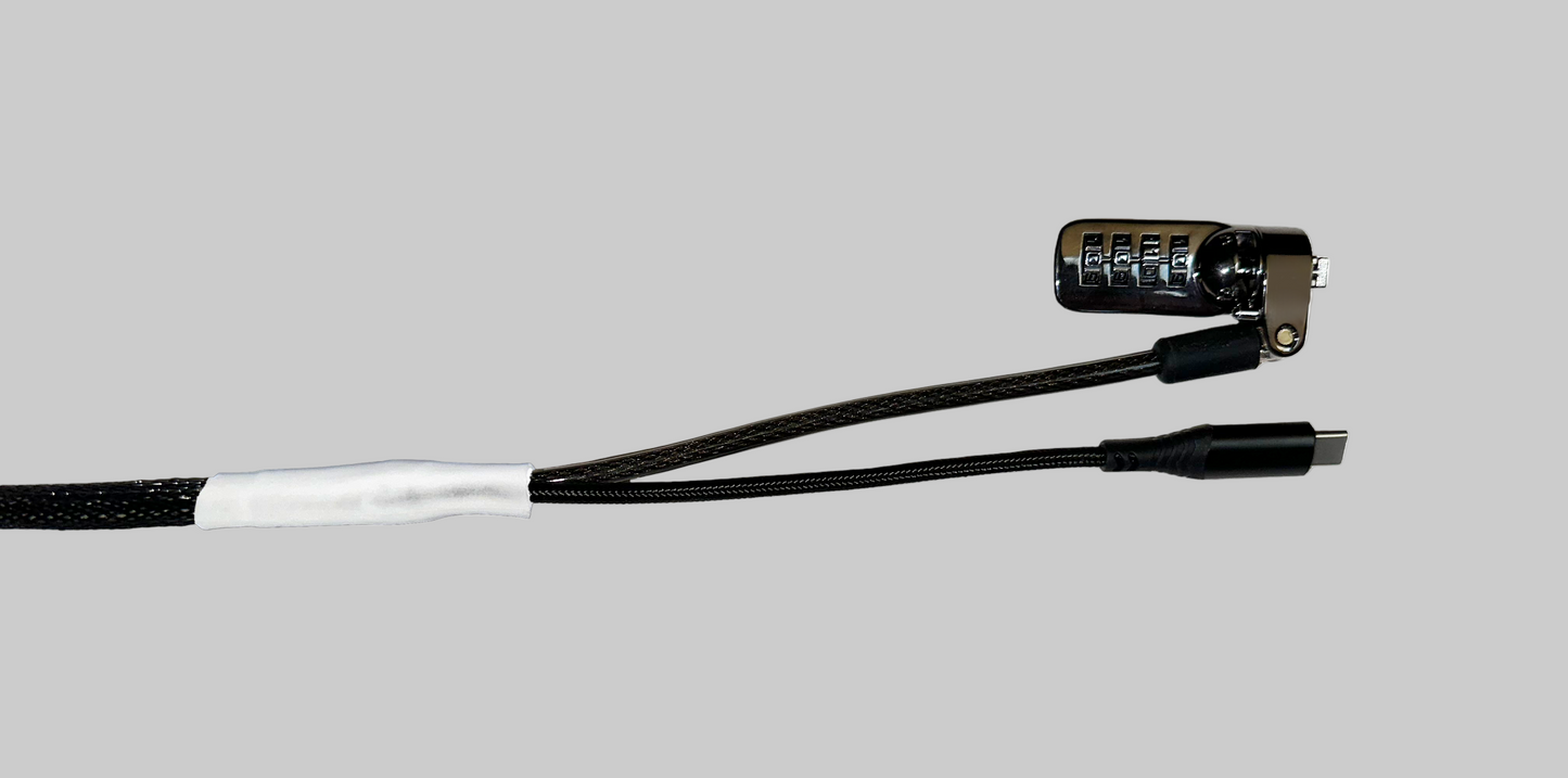 Standard USB-C Security Cable