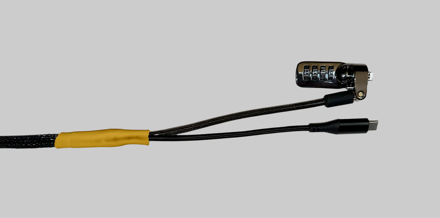 Standard USB-C Security Cable
